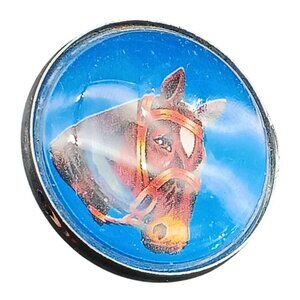 Vintage Horse Head Glass Dome Rosette Equestrian Bridle Adornment